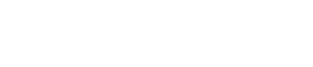 ZMM sponsor 21